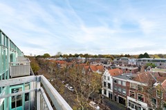 Uitzicht Levendaal (2).jpg
